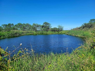 10850 Hwy 101 N, Smith River, CA 95567