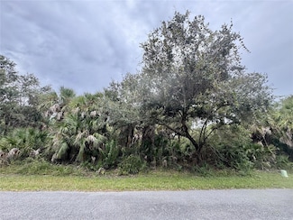 0 Rayfield Dr Unit MFRC7517435, North Port, FL 34291