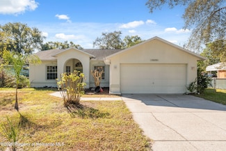 10290 Adler St, Spring Hill, FL 34608
