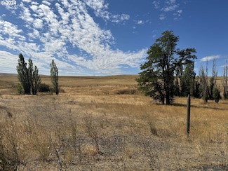 0 Niva Rd, Centerville, WA 98613