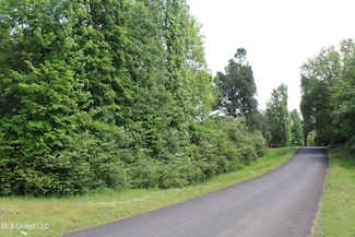 7900 E Craft Rd, Olive Branch, MS 38632
