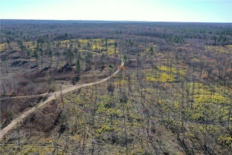 TBD N Larsen Rd, Lenroot, WI 54843