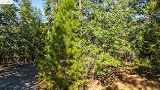 23983 Pack Trail Rd, Cedar Ridge, CA 95370