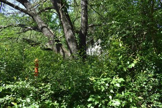 10946 Clover Ln, Frankston, TX 75763