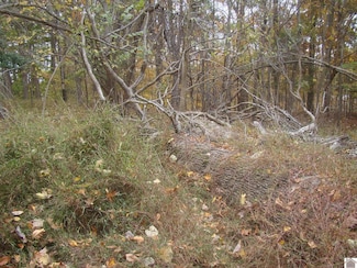 10 Shiloh Ln, Cadiz, KY 42211