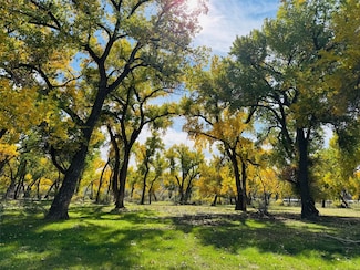 1459 New Mexico 173, Navajo Dam, NM 87419