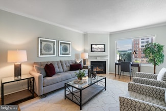 3101 N Hampton Dr Unit 502, Alexandria, VA 22302