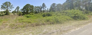 732 Foxtail St E, Lehigh Acres, FL 33974