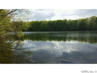 0 Brownell Dr Unit S354381, Altmar, NY 13302