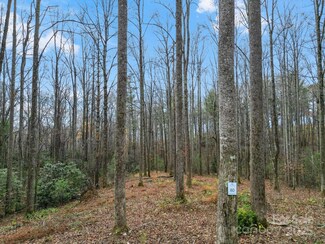 LOT 80 Mountain Grove Ln Unit LOT 80, Fletcher, NC 28732