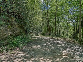 000 Cubs Dr Unit Lots, Burnsville, NC 28714