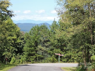 146 Saratoga Dr, Bostic, NC 28018