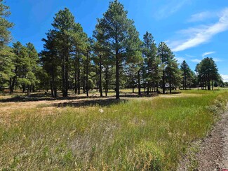 351 Lakewood St, Pagosa Springs, CO 81147