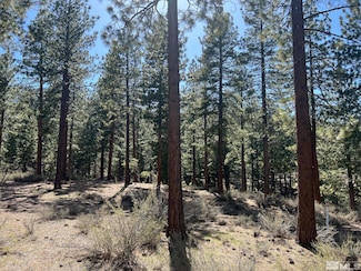 140 Walton Toll Rd, Carson City, NV 89705