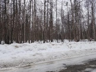 19996-74 E Record Ave, Susitna North, AK 99688