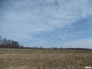 Tract 1 N Mcdermott Ln, Shiloh Township, IL 62864