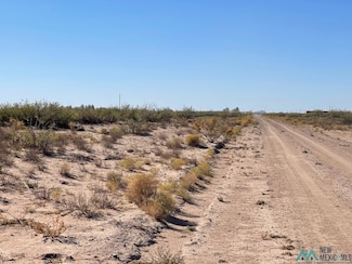 XXXX San Pedro Rd SE, Deming, NM 88030
