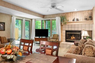4749 S Pleasantview Rd Unit 100, Harbor Springs, MI 49740