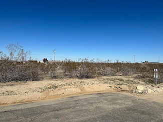 0 Ave V10 and Longview, Pearblossom, CA 93553