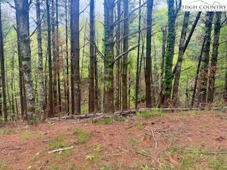25 Davis Acres Dr, West Jefferson, NC 28694
