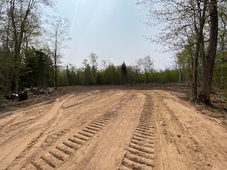 10 Acres Brasser, Sugar Island, MI 49783