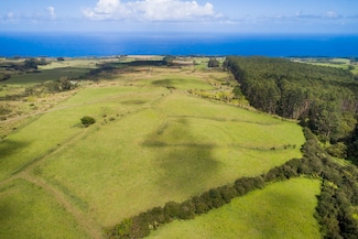 31-580 Lepoloa Rd, Papaaloa, HI 96780