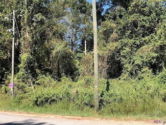 0 Idlewild Rd Unit 2024016061, Clinton, LA 70722