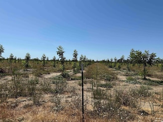 00 Loleta Ave, Corning, CA 96021