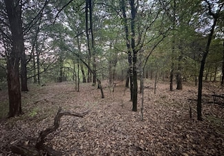 776 Palisades Dr, Gordonville, TX 76245