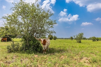 Tract 2 County Road 106, Columbus, TX 78934