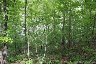 TBD Butler Rd, Gravois Mills, MO 65037