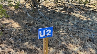 0 Paradise Loop Unit 25411750, Quemado, NM 87829