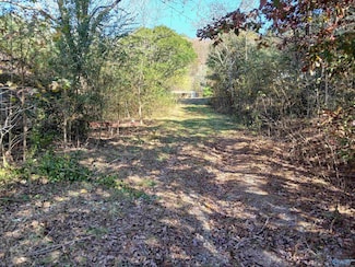 874 Mountain, Baileyton, AL 35019