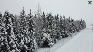 NHN Souhrada Rd, Deltana, AK 99737