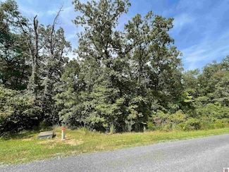 0 Deepwood Dr Unit Lot  107 130638, Murray, KY 42071