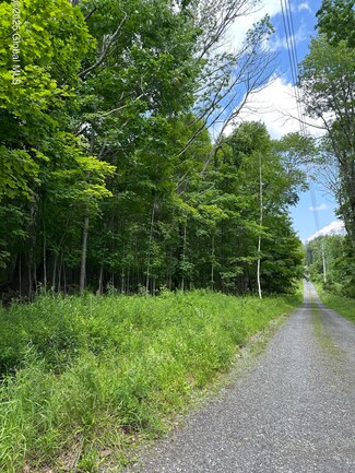 L11 Buel Rd, Conesville, NY 12076