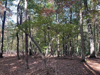 LOT 4 Covered Bridge Rd, Blairsville, GA 30512