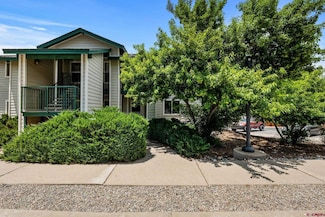 1100 Goeglein Gulch Rd Unit 132, Durango, CO 81301