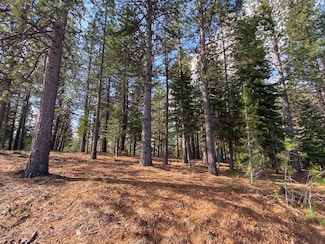 Lot 3 Hidden Meadow Dr, Weed, CA 96094