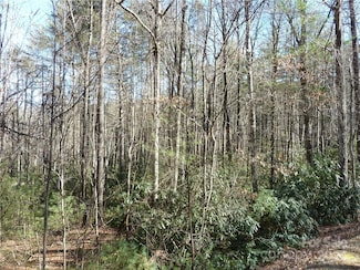 30 Abby Falls Dr Unit 30, Rosman, NC 28772