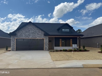 157 Marigold Ln, Jonesborough, TN 37659