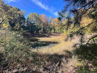 00 Arkansas 254, Leslie, AR 72645