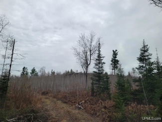 TBD Camp 5 Rd, Crystal Falls, MI 49920