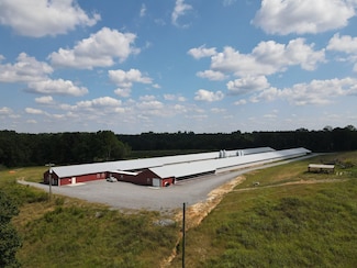 3086 County Road 1036, Good Hope, AL 35057