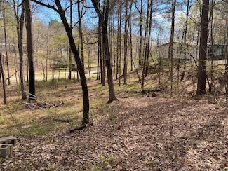 287 Bluegill Rd, Eatonton, GA 31024