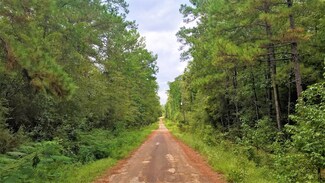 Lot 1 Friar Tuck Dr N, Ivanhoe, TX 75979