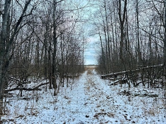 TBD 160th St NE, Norden Township, MN 56701