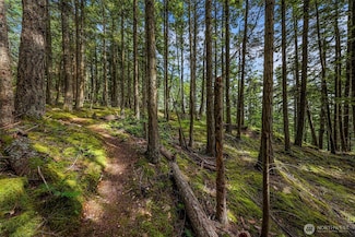 3073 Hales Passage Dr, Lummi Island, WA 98262