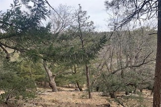 29 Fir St, Crestline, CA 92325