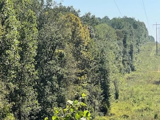 0 Drewry Rd, Monroeville, AL 36460